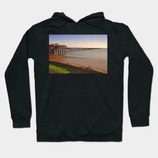 Southend on Sea Pier and Beach Essex Hoodie